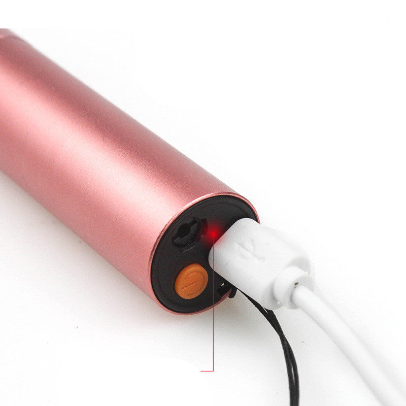 2 in 1 Cat Detection Lamp Laser Funny Cat Stick Test Pen