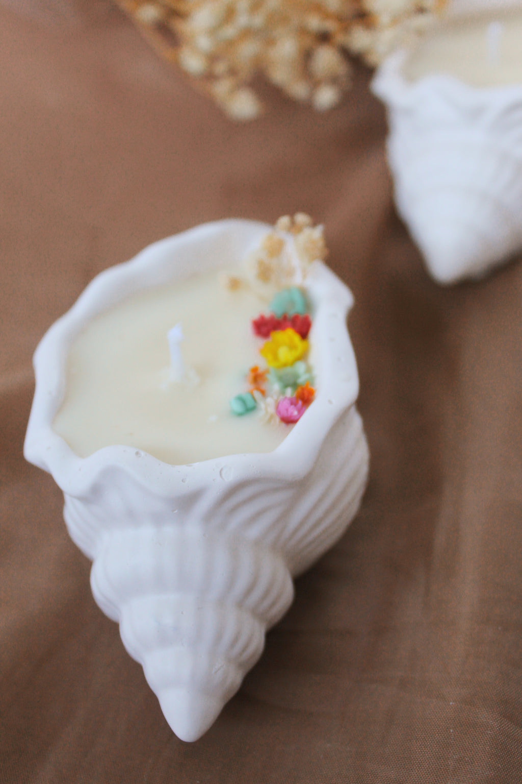 Shell Candle