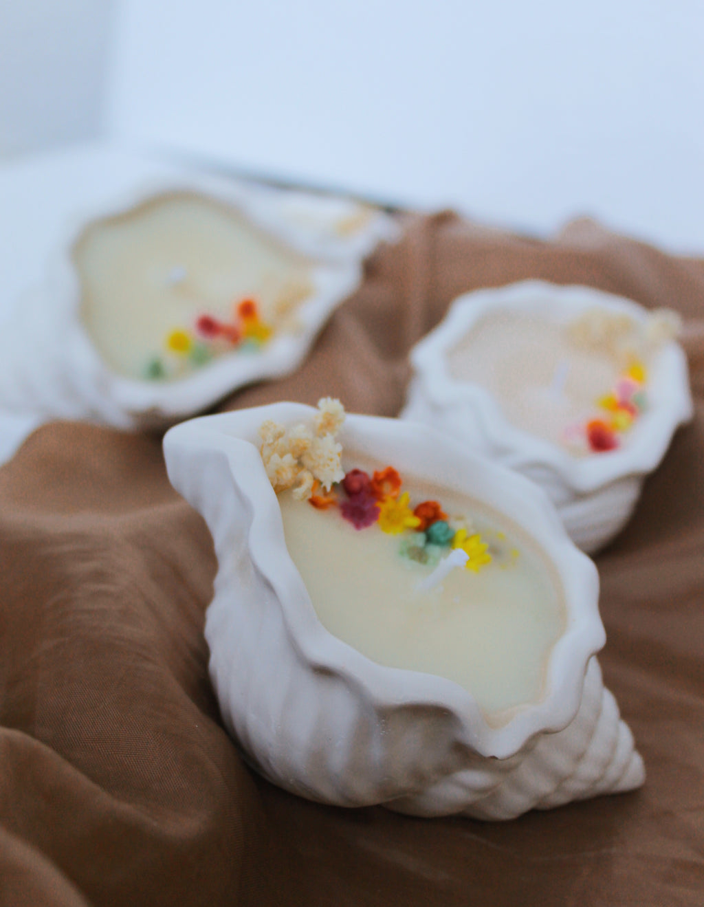 Shell Candle