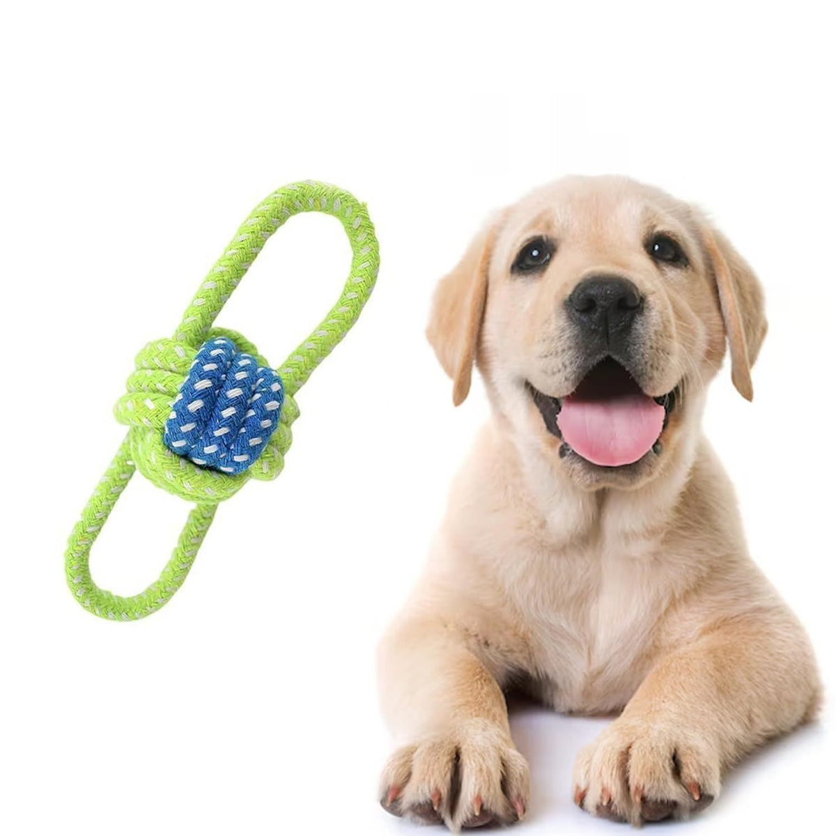 Durable Puppy Chew Toy for Teething
