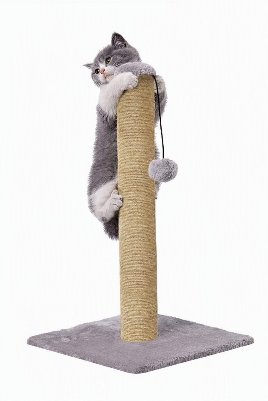 Tall Cat Scratching Post with Hanging Ball